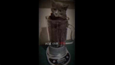 Fatih&39;te bir kadnn kedi yavrularn ezerek vahice katletmesi gvenlik kameras grntlerine yansd. . Kedi blender